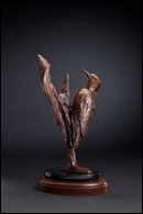 Red-Bellied Woodpecker - bronze patina